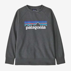 Patagonia Kids P-6 Logo Crew Sweatshirt Size L